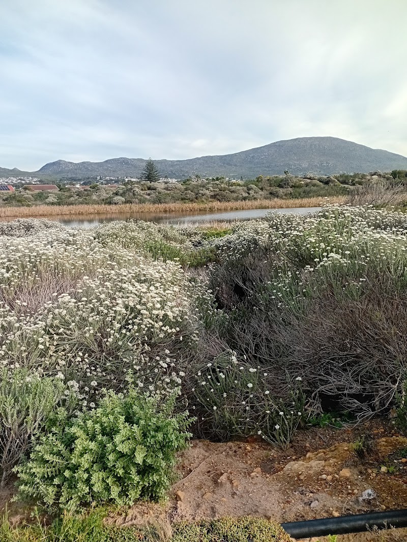 Chapman's Bay Estate - Chapman's Bay Estate, Noordhoek, Cape Town, 7979, South Africa