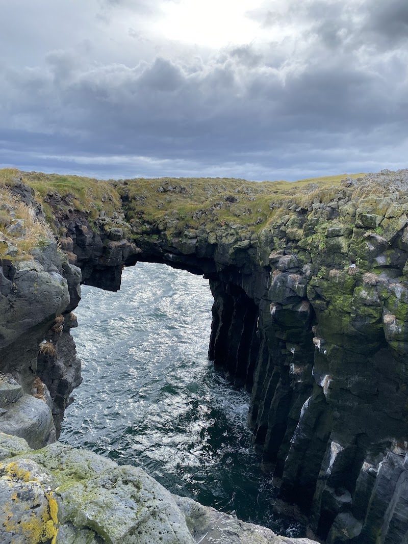 Arnarstapi Cliff Viewpoint - Arnarstapi Cliff Viewpoint, Q97G+P3C, Arnarstapavegur, 356 Arnarstapi, Iceland