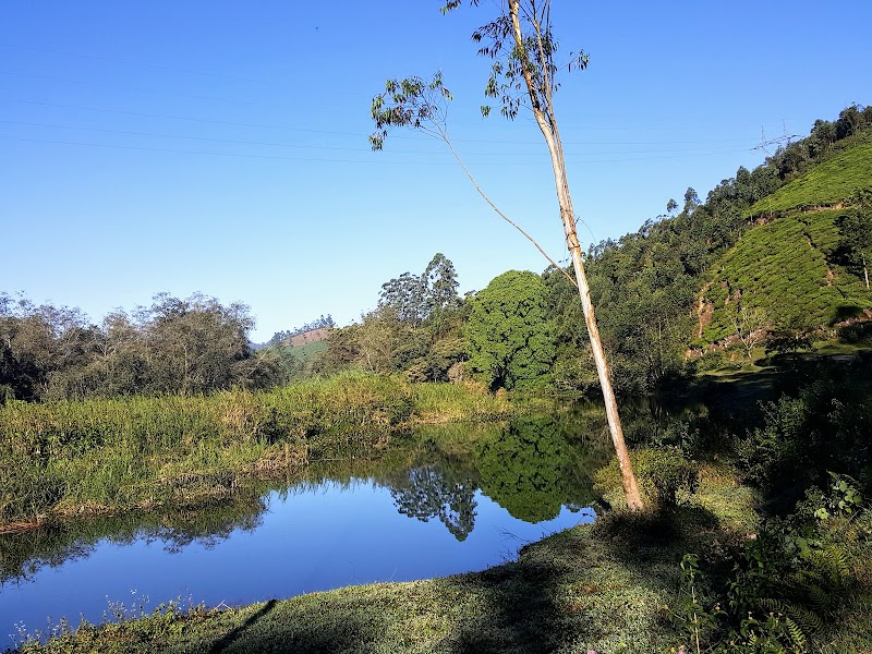 Munnar views - Munnar views 33Q5+HRC, Munnar - Udumalpet Rd, Nullatanni, Munnar, Kerala 685612, India