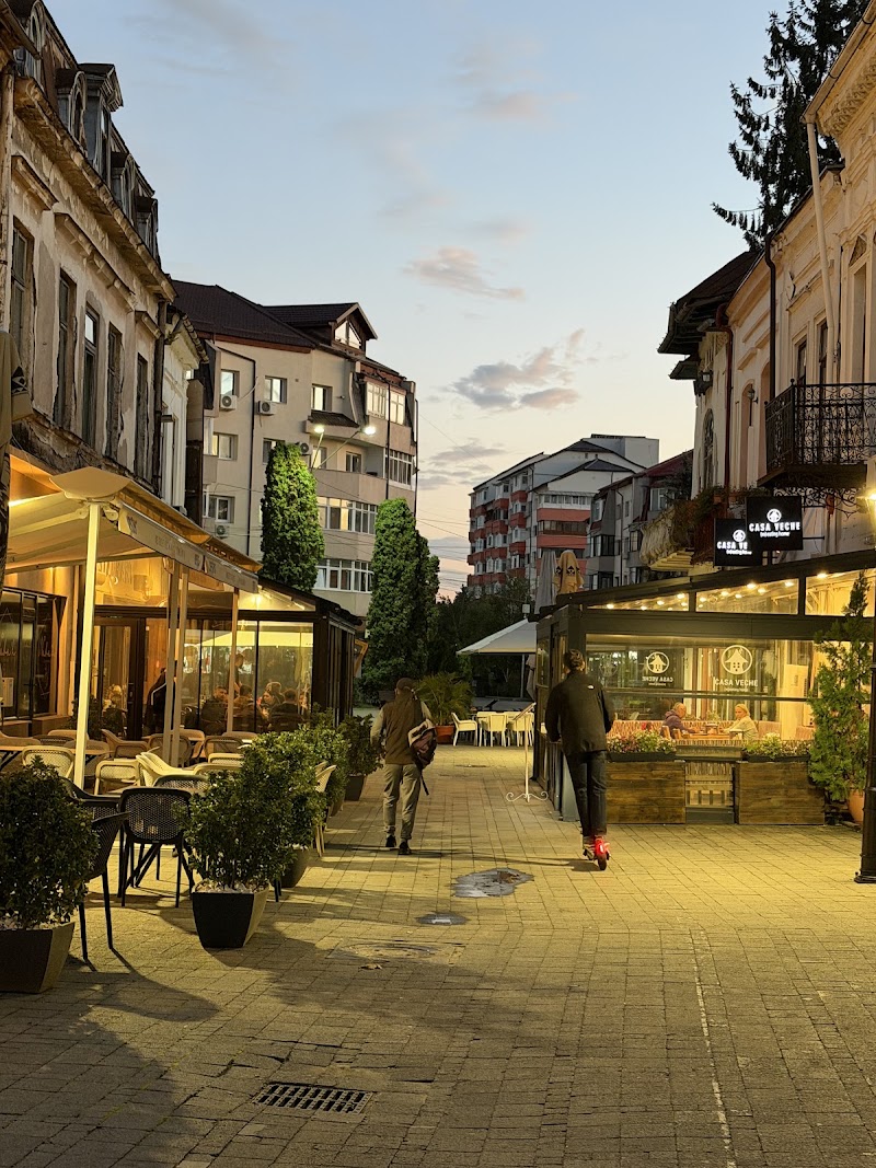 Centrul Vechi - Centrul Vechi, Strada Alexandru Ioan Cuza 31, Târgoviște, Romania