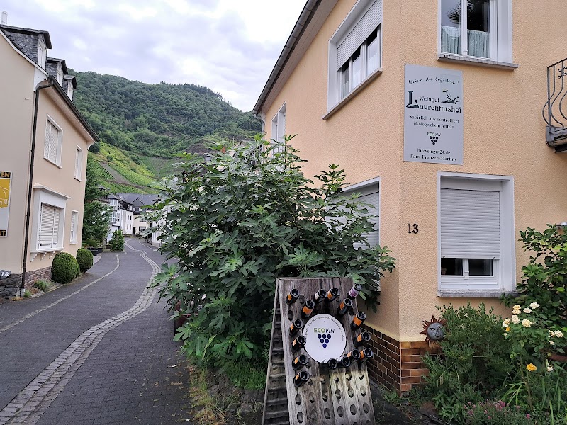 Bioweingut Laurentiushof - Bioweingut Laurentiushof, Gartenstraße 13, 56814 Bremm, Germany
