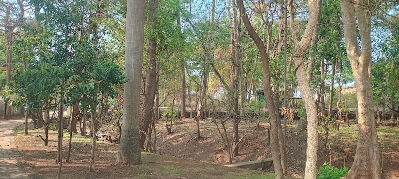 The Heritage Home Stay - The Heritage Home Stay 6MXJ+4CC, Hadjana, Karnataka 571311, India