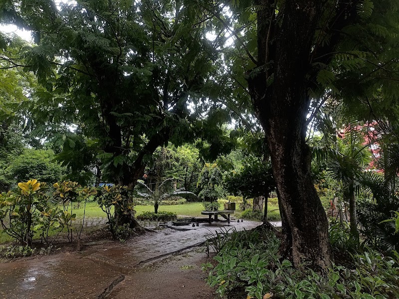 Green Zone, Jadavpur University - Green Zone, Jadavpur University, 188, Raja Subodh Chandra Mallick Rd, Jadavpur, Kolkata, West Bengal 700032, India