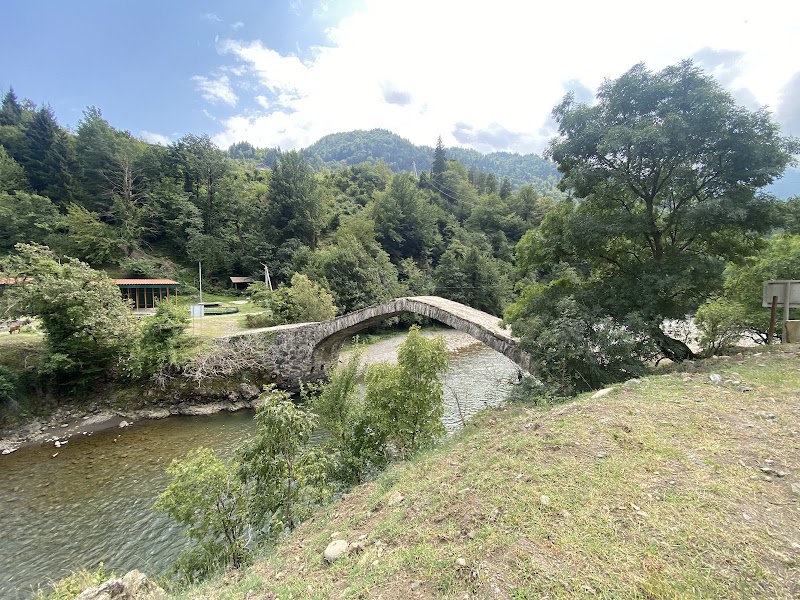 Dandalo Bridge - Dandalo Bridge, J4W5+J3Q, Jalabashvilebi, Georgia