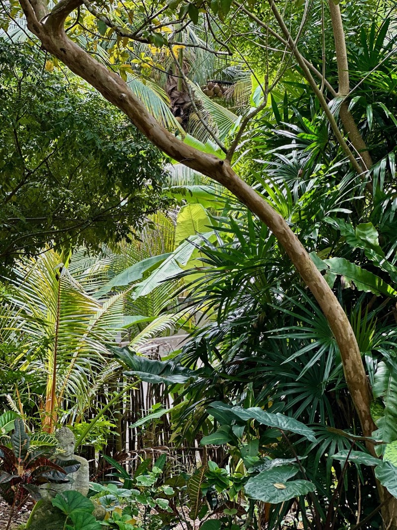 Watu House - Watu House, XP95+867, Hiriketiya 81200, Sri Lanka