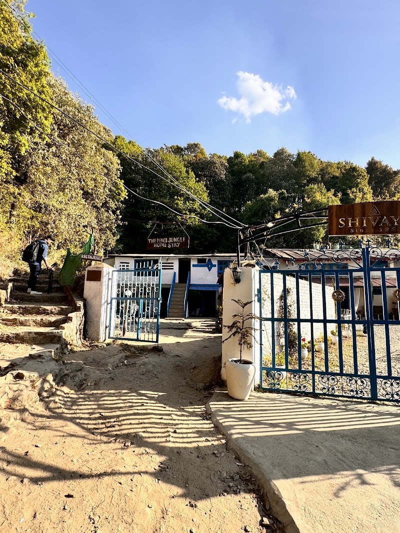 OYO Home 63758 Peaceful Stay Mukteshwar - OYO Home 63758 Peaceful Stay Mukteshwar, The peace, jungle home stay, near TRH guest house, Mukteshwar, Uttarakhand 263138, India