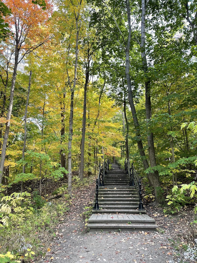 Mount Royal Park - Mount Royal Park, 1260 Chem. Remembrance, Montréal, QC H3H 1A2, Canada