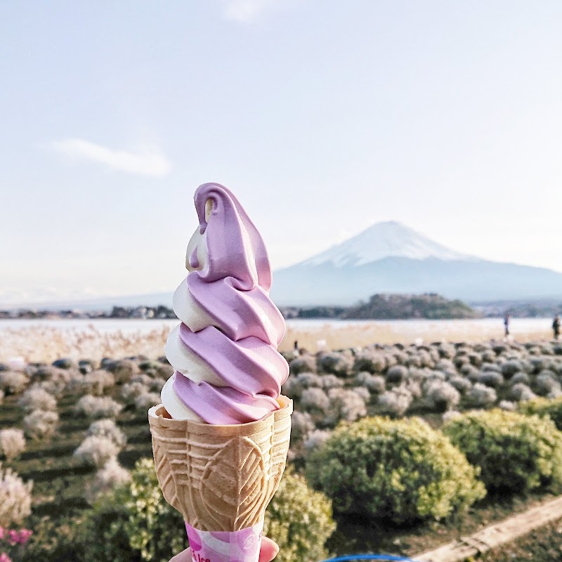 Oishi Park - Oishi Park ２５２５番地の１１先 Ōishi, Fujikawaguchiko, Minamitsuru District, Yamanashi 401-0305, Japan