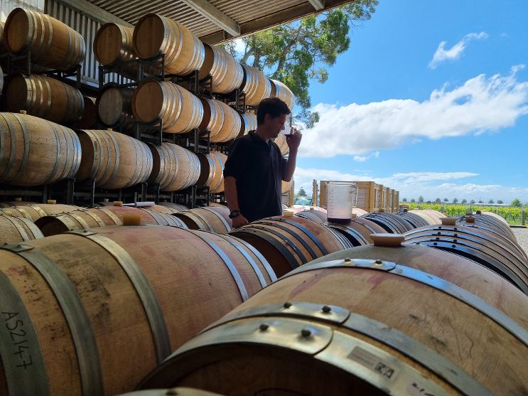 Askerne Estate Winery - Askerne Estate Winery, 267 Te Mata Mangateretere Road, Havelock North 4172, New Zealand
