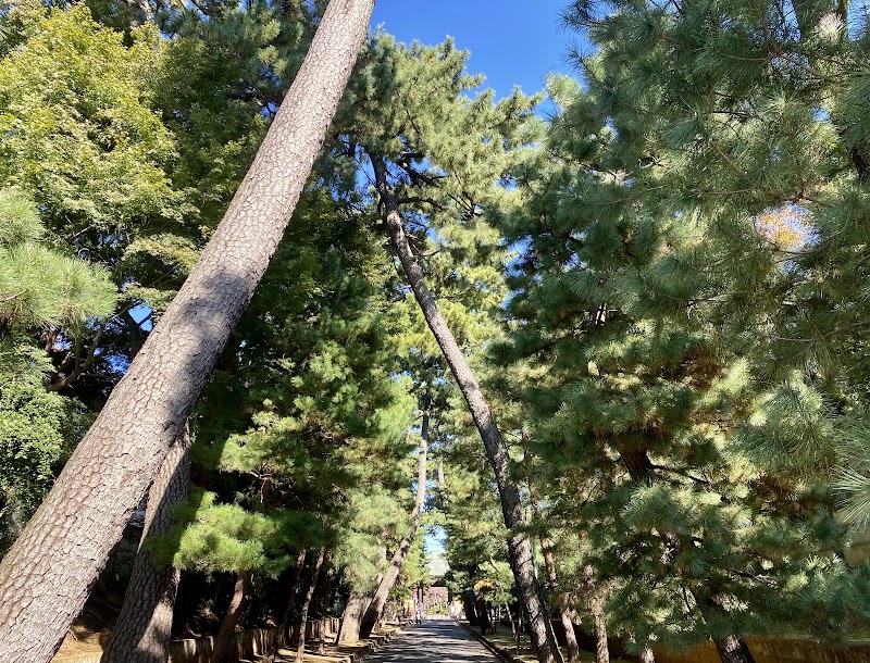 Gotokuji Temple Pine Approach - Gotokuji Temple Pine Approach 2 Chome-24 Gotokuji, Setagaya City, Tokyo 154-0021, Japan