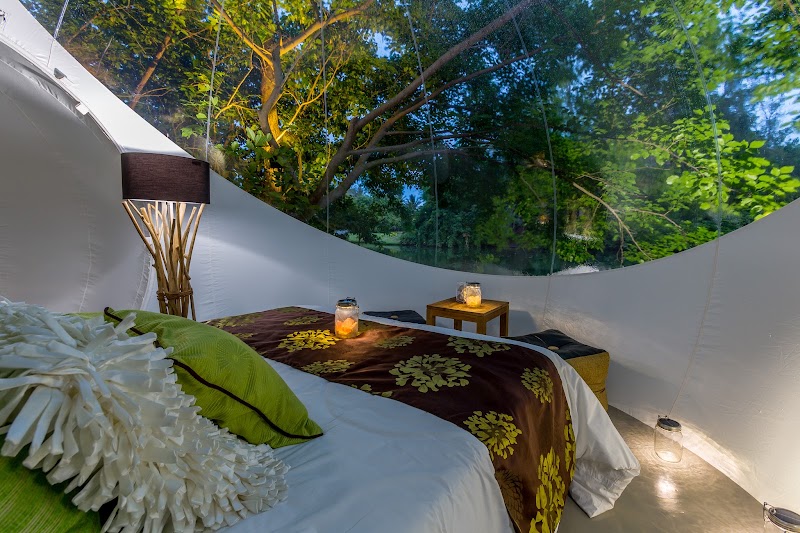 Bubble lodge Bois Cheri - Bubble lodge Bois Cheri, Bois Cheri, Mauritius