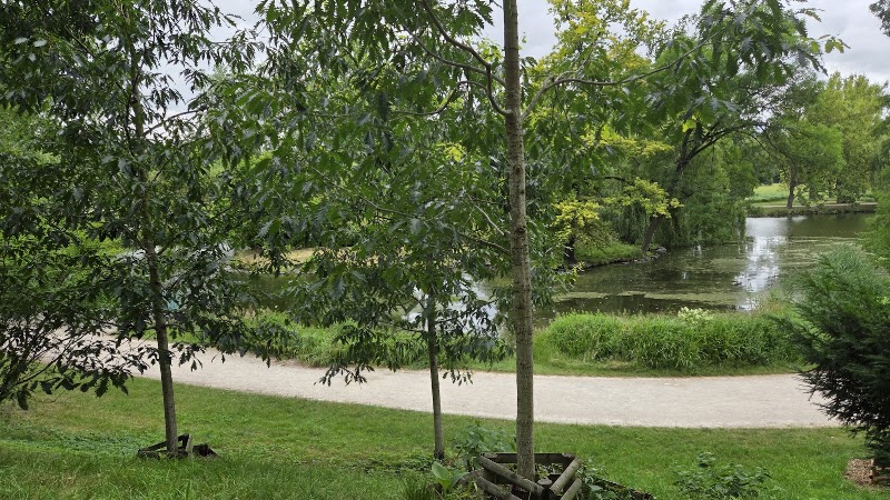 Park Stromovka - Park Stromovka, Královská obora Stromovka, Bubeneč, 170 00 Praha 7, Czechia