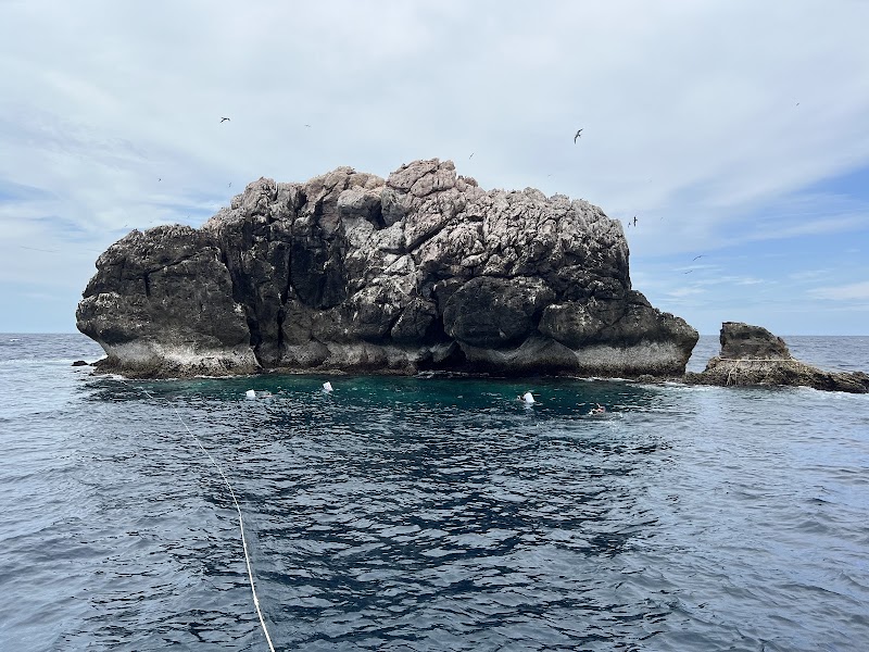 The Dive Academy - The Dive Academy, 157, 15, Tambon Bo Put, Amphoe Ko Samui, Chang Wat Surat Thani 84320, Thailand