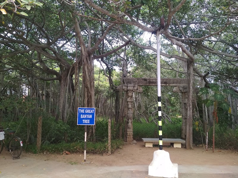 Theosophical Society Buddha Temple - Theosophical Society Buddha Temple, 2768+J52, Theosophical Society, Besant Nagar, Chennai, Tamil Nadu 600020, India