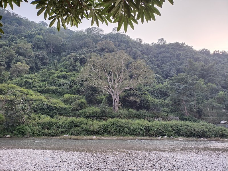 Mohan Chatti Resort - Mohan Chatti Resort, Village Jogyana, Main, Silogi Rd, Rishikesh, Sinduri, Uttarakhand 249304, India