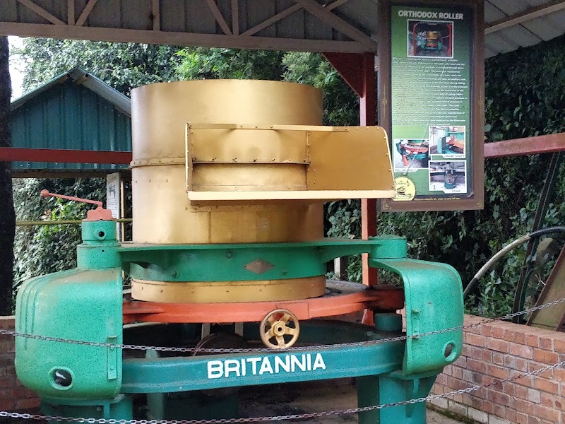 Singara Tea Factory Outlet - Singara Tea Factory Outlet 8RX7+FG2, Dolphin's Nose Rd, Alwarpet, Burliyar, Coonoor, Tamil Nadu 643101, India