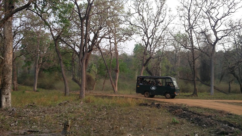 JLR Nagarahole Safari Camp - JLR Nagarahole Safari Camp, 56M5+3V8, Nagarhole Rd, Veeranahosahalli, Karnataka 571106, India