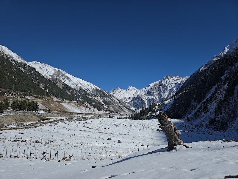 Zoji La Pass Valley ladakh - Zoji La Pass Valley ladakh, Zoji La Pass Kashmir, 796G+JW8, Forest Block, 191202