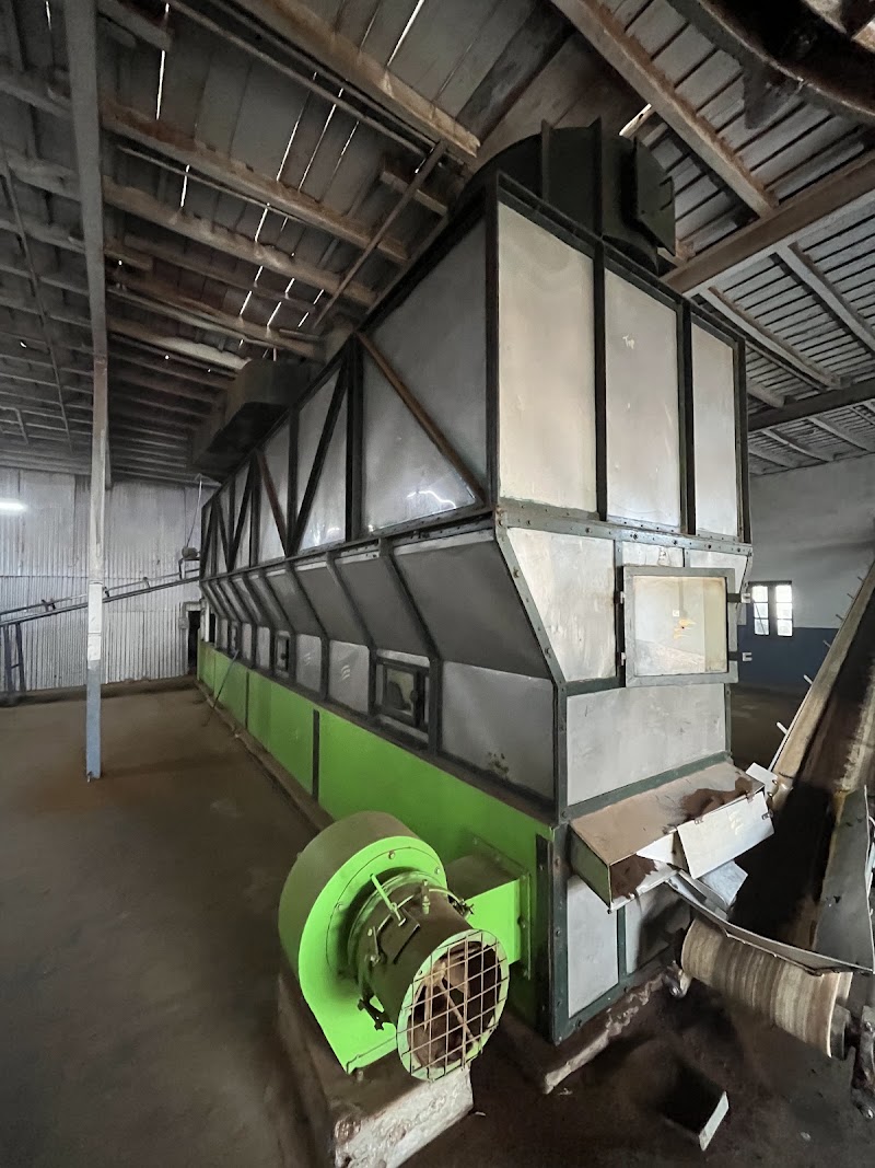 Hadathorai Tea Factory - Hadathorai Tea Factory, Kerben Road, Kotagiri, Tamil Nadu 643214, India