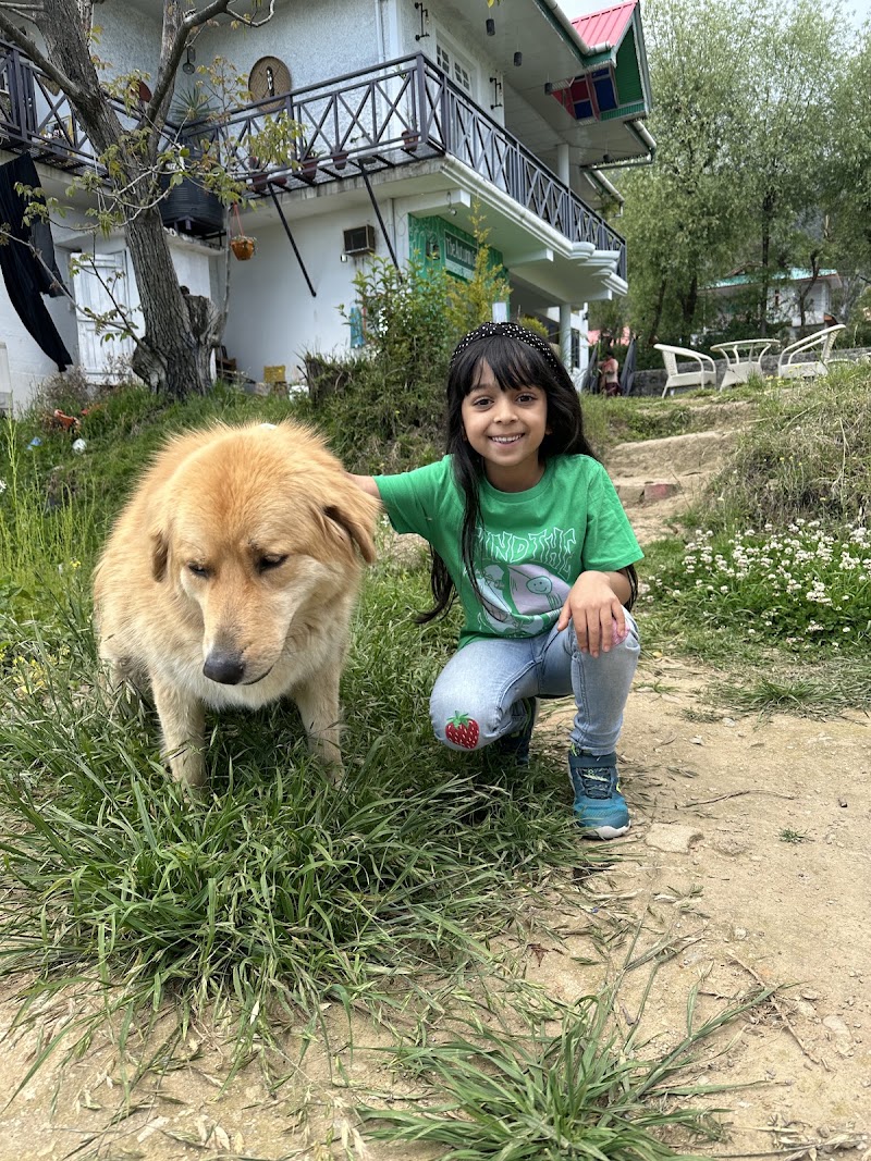 The Autumn Home - Boutique Homestay in Bir - The Autumn Home - Boutique Homestay in Bir House Number 293, opposite Govt. Senior Secondary School, Bir, Himachal Pradesh 176077, India