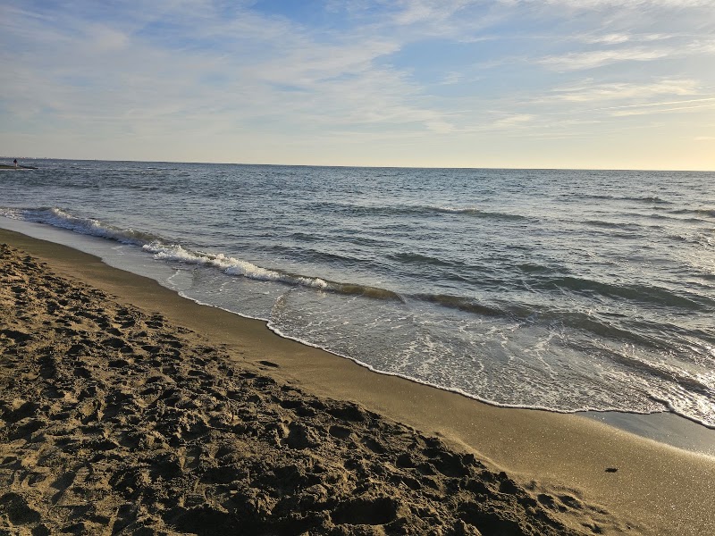 Stabilimento balneare dell'Esercito - Base Logistica di Fregene - Stabilimento balneare dell'Esercito - Base Logistica di Fregene, Lungomare di Ponente, 49, 00054 Fregene RM, Italy