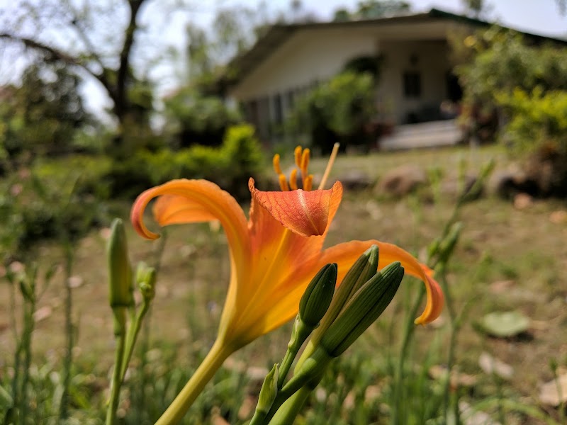 Garden House Dehradun - Garden House Dehradun, 248001, 151/22, Rajpur Road, Jakhan, Doon Vihar, Jakhan, Dehradun, Vijepur Hathibarka, Uttarakhand 248003, India