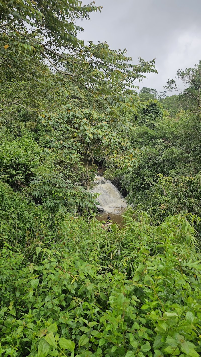 Magajahalli Abbi Falls - Magajahalli Abbi Falls Devaladakere, Karnataka 573165, India