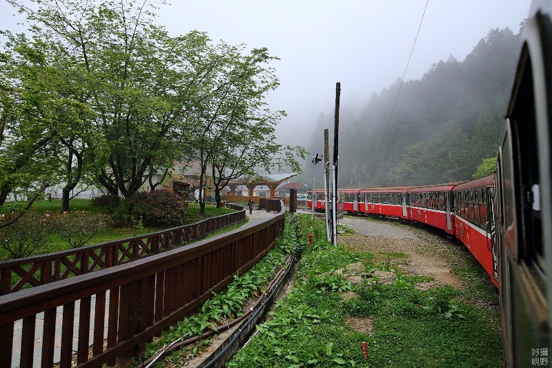 Forest Railway/ Alishan Station - Forest Railway/ Alishan Station Alishan Township, Chiayi County, Taiwan 605