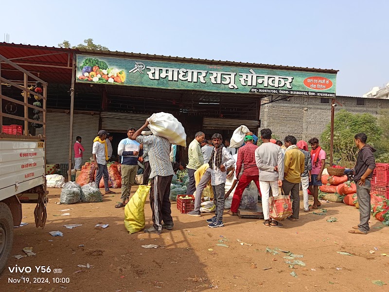 Shri Ramadhar Raju Sonkar Fal Va Sabji Vikreta - Shri Ramadhar Raju Sonkar Fal Va Sabji Vikreta, Krishi upaj mandi, Nawapara, Rajim, Chhattisgarh 493881, India