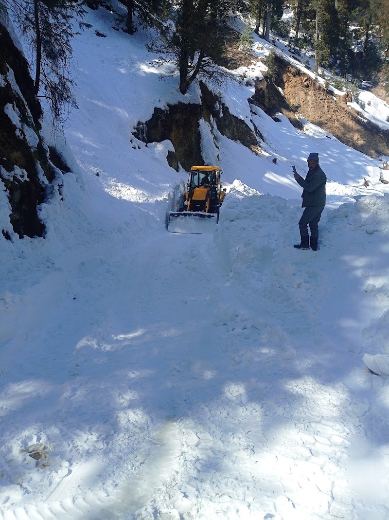 Narkanda Road - Narkanda Road, Narkanda Rd, Himachal Pradesh, India