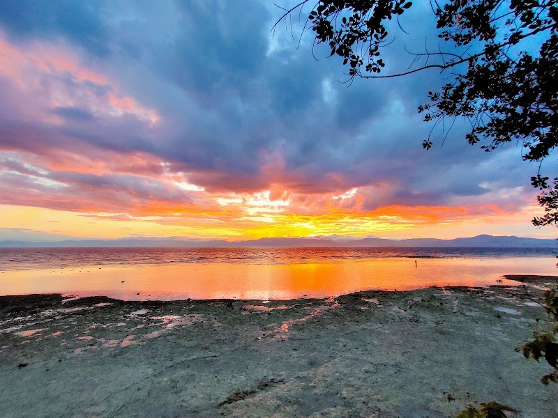 Moalboal T Breeze Coastal Resort - Moalboal T Breeze Coastal Resort Looc, Moalboal, 6032 Cebu, Philippines
