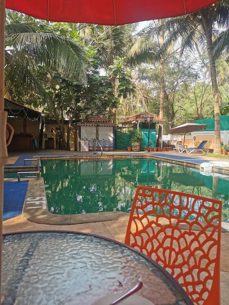 Curlies ZuluLand Cottages - Curlies ZuluLand Cottages, near Flea Market, Monteiro Vaddo, Anjuna, Goa 403509, India