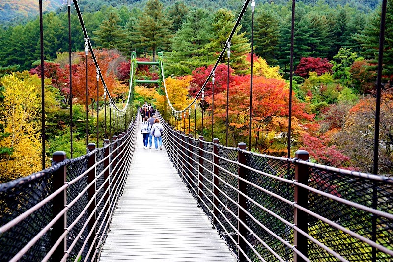 Garden of Morning Calm - Garden of Morning Calm, 432 Sumogwon-ro, Sang-myeon, Gapyeong-gun, Gyeonggi-do, South Korea