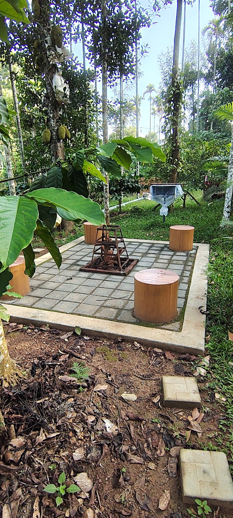 Jungle Getaway - Jungle Getaway Jungle Getaway’ Elayidam Kolli Kappikunnu, Q48R+8VV, post, Pulpally, Kerala 673596, India