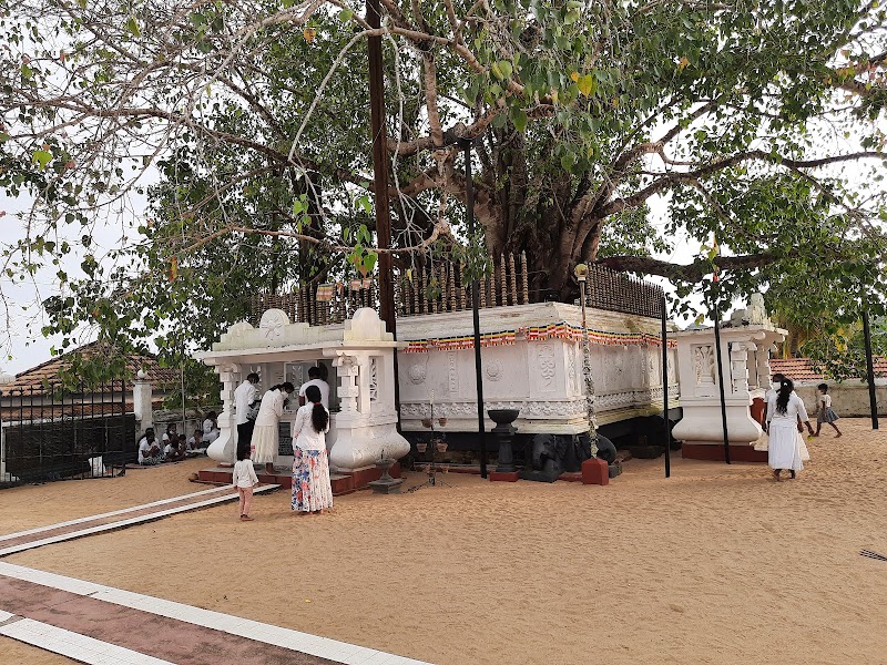 Agrabodhi Raja Maha Viharaya - Agrabodhi Raja Maha Viharaya Sri Agrabhodi Viharaya, Weligama, Sri Lanka