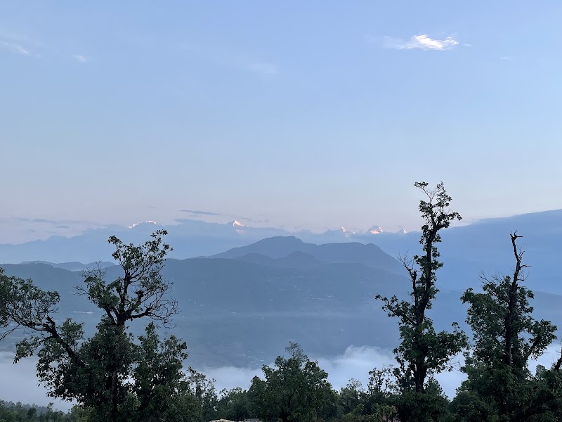 Chaukori - Chaukori, Uttarakhand 262531, India