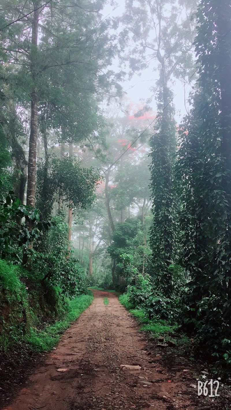 CoffeeCadu Estate Stay - CoffeeCadu Estate Stay Near Kedakal Mandal Panchayat School Mysore - Madikeri Road, Somwarpet Taluk Horur, Kedakal Negadalu, Horur, Karnataka 571237, India