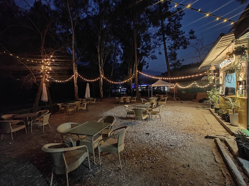 Cafe Deodar by Hilly Basket - Cafe Deodar by Hilly Basket, NH 3, Nature Park, Babeli, Biasar, Himachal Pradesh 175138, India