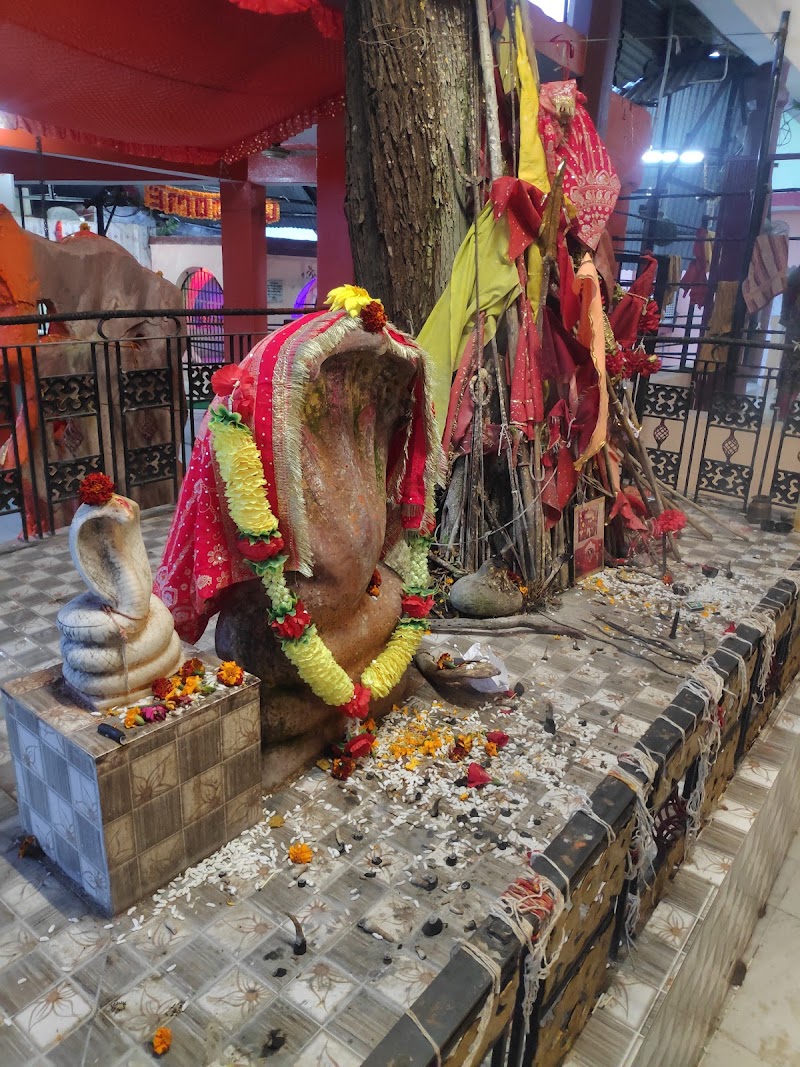 Nag mandir ranital - Nag mandir ranital Nag mandir, Chelian, Himachal Pradesh 176029, India