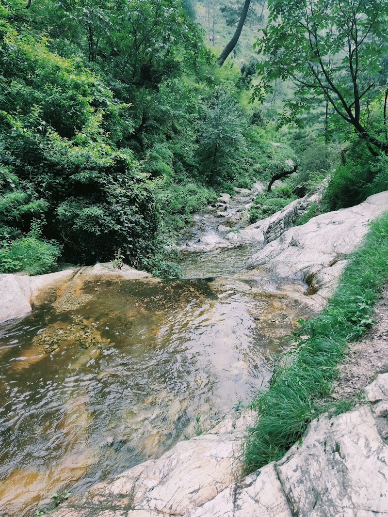 Starting Point for Chhoie waterfall - Starting Point for Chhoie waterfall, J9QW+PWH, Banjar, Sharchi, Himachal Pradesh 175123, India