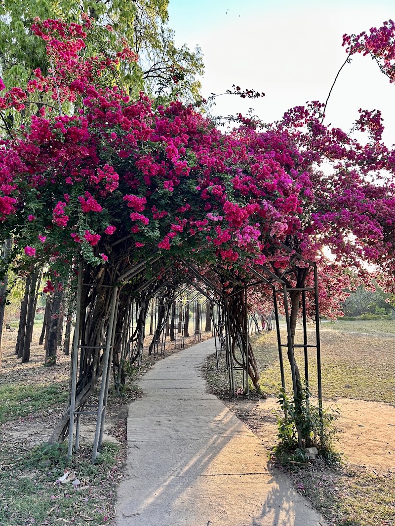 Bougainvillea Park, 3B Chandigarh - Bougainvillea Park, 3B Chandigarh QQ5W+894, 3B, Sector 3, Chandigarh, 160001, India