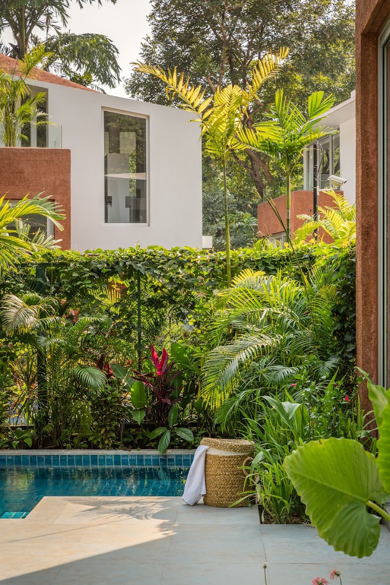 La Macedo Estate by Thebluekite - La Macedo Estate by Thebluekite 146/9, Assagao, Goa 403507, India