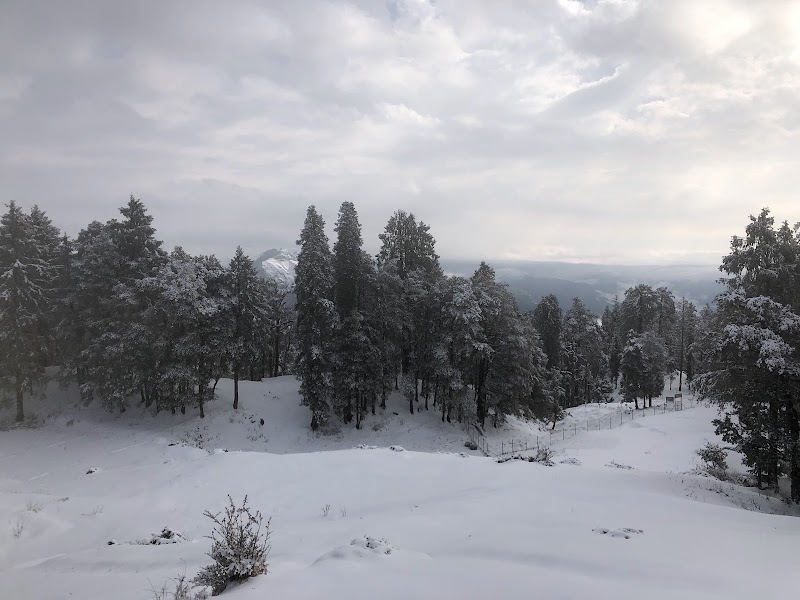 Deoban Forest Rest House - Deoban Forest Rest House, PVX8+6G7, Jadi, Uttarakhand 248123, India