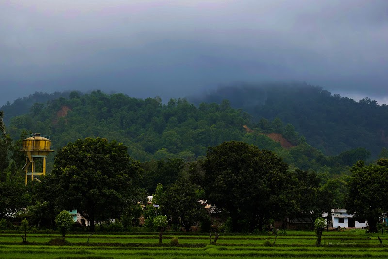 Tarun Corbett - Tarun Corbett tarun bhatt house, Dhela Rd, Ramnagar, Dhela, Uttarakhand 244715, India