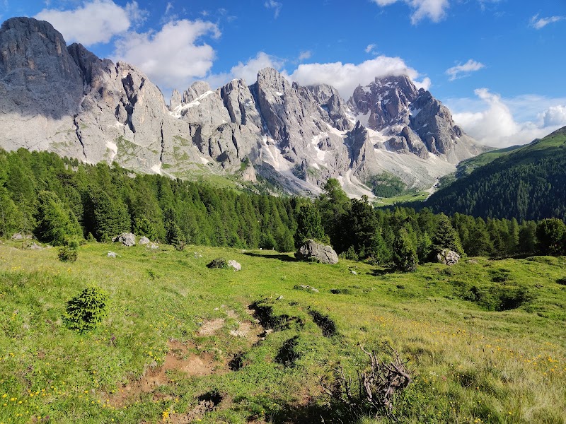 Parco Naturale Paneveggio Pale di San Martino - Parco Naturale Paneveggio Pale di San Martino Località Castelpietra, 2, 38054 Primiero San Martino di Castrozza TN, Italy