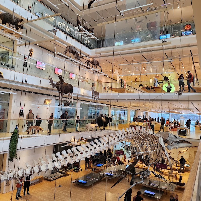 MUSE - Science Museum - MUSE - Science Museum Corso del Lavoro e della Scienza, 3, 38122 Trento TN, Italy