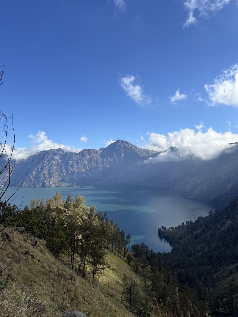 Rinjani Trekking Center - Rinjani Trekking Center, Jl. Pariwisata, Senaru, Kec. Bayan, Kabupaten Lombok Utara, Nusa Tenggara Bar. 83354, Indonesia