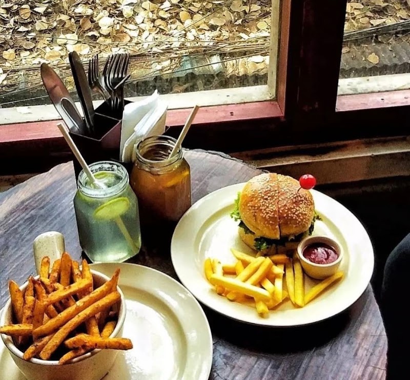 AMA Cafe | Majnu Ka Tilla - AMA Cafe | Majnu Ka Tilla House no. 6, 1st Floor, New Aruna Colony, Majnu-ka-tilla, New Aruna Nagar, New Delhi, Delhi, 110054, India