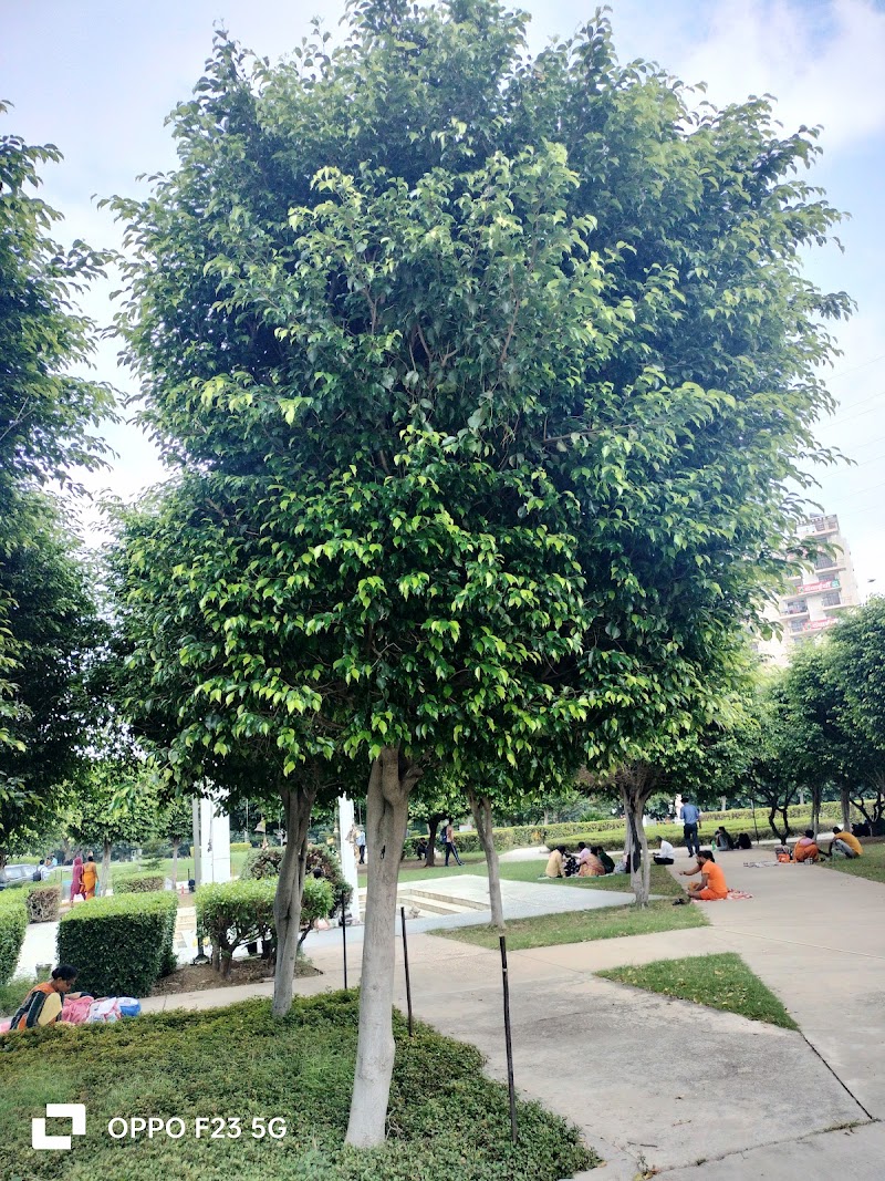 Park, Sector-38 - Park, Sector-38 C2JV+9Q4, Islampur Village, Sector 38, Gurugram, Haryana 122018, India