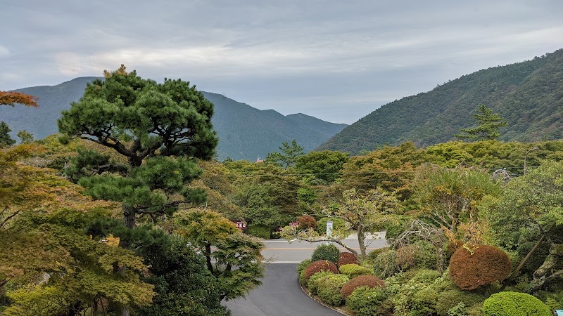 Mikawaya Ryokan - Mikawaya Ryokan, 503 Kowakudani, Hakone, Ashigarashimo District, Kanagawa 250-0406, Japan